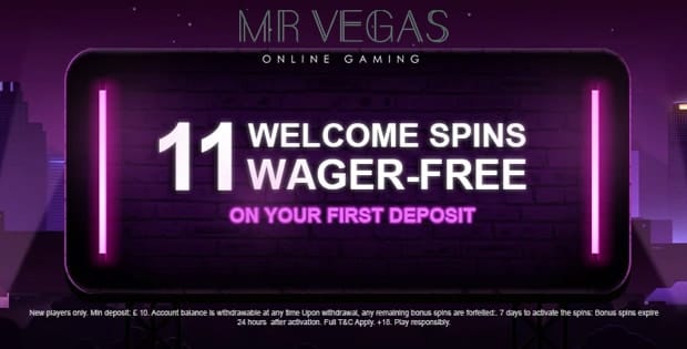 Mr Vegas