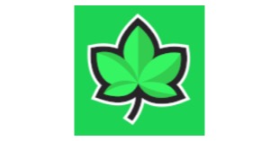 Ivy Casino