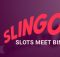 slingo casino no deposit