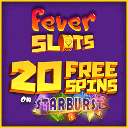 Fever Slots Casino New No Deposit