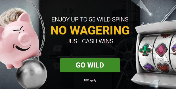 Go Wild Casino