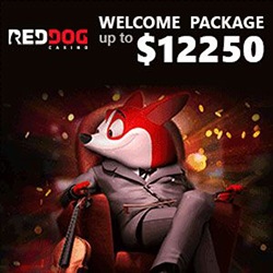 red dog casino code