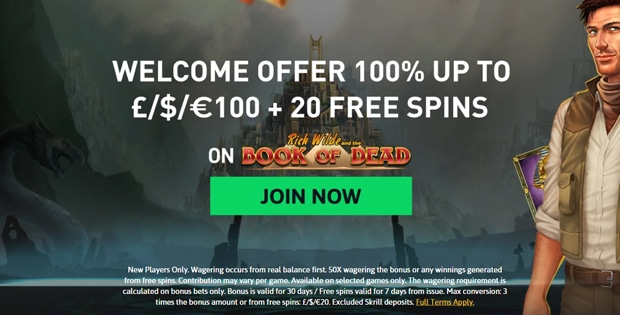 The Online Casino