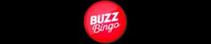 logo bingo buzz