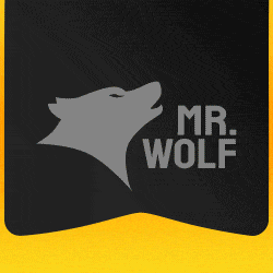 Mr Wolf Slots Casino