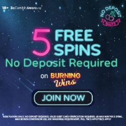 No Deposit Slots Casino new no deposit casino