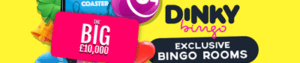 bingo mungil