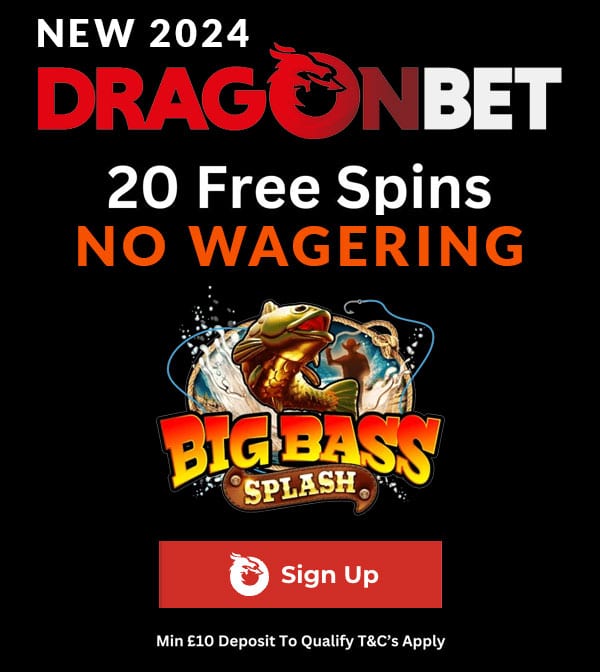 dragonbet casino
